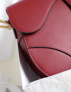 Christian Dior Saddle Bag 25 cm
