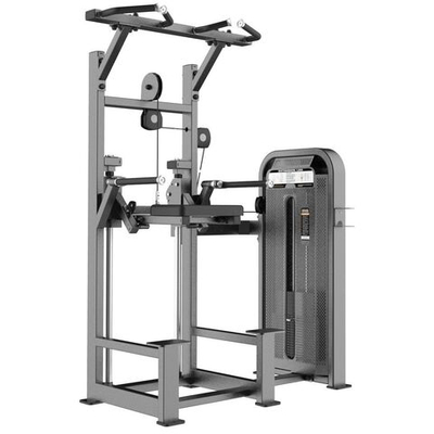 U3009D (E5009) Турник, брусья с противовесом. Стек 88 кг