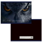 Альбом для рисования А4 40л, Alingar, гребень, мелованный картон(стандарт) 210г/м2, офсет 100 г/м2,, "Сова", 1 дизайн в пленке т/у