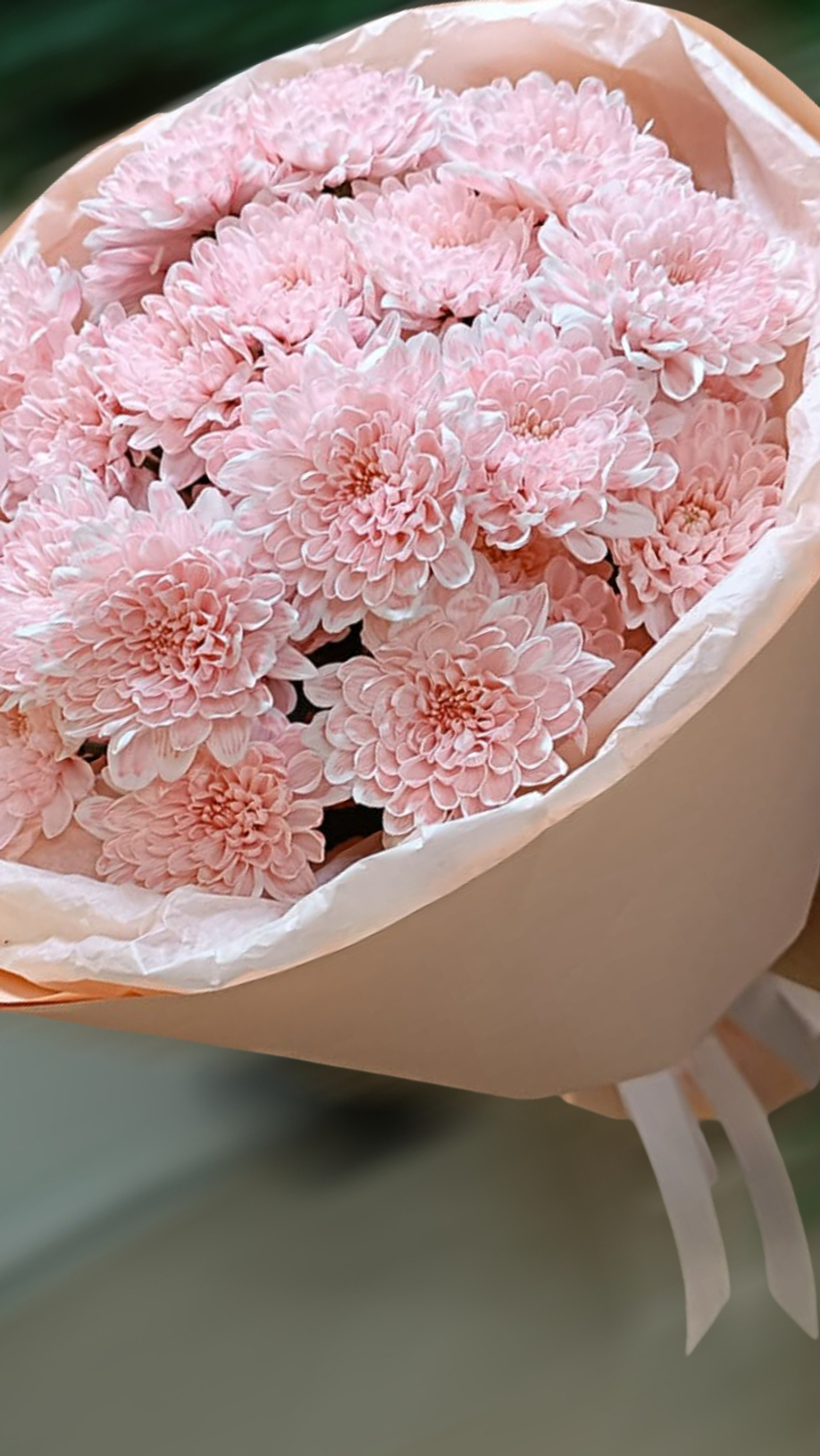 Букет из 5 крашеных хризантем кустовых