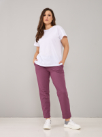 Брюки Бдж-129/бордо-джинс