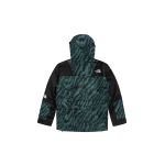 Куртки THE NORTH FACE 1994 Icon FW21, NF0A5B39-29L