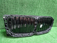 Решетка радиатора BMW X5 G05 (2023-н.в.)