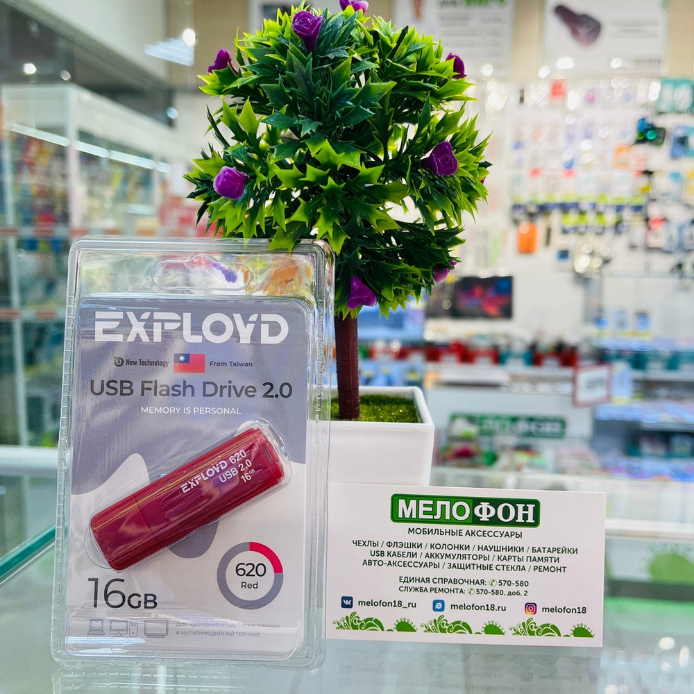 USB Флешка 16GB Exployd 620, USB 2.0, красная