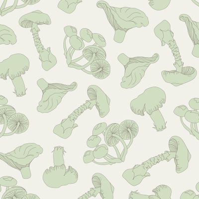 Зеленые грибы