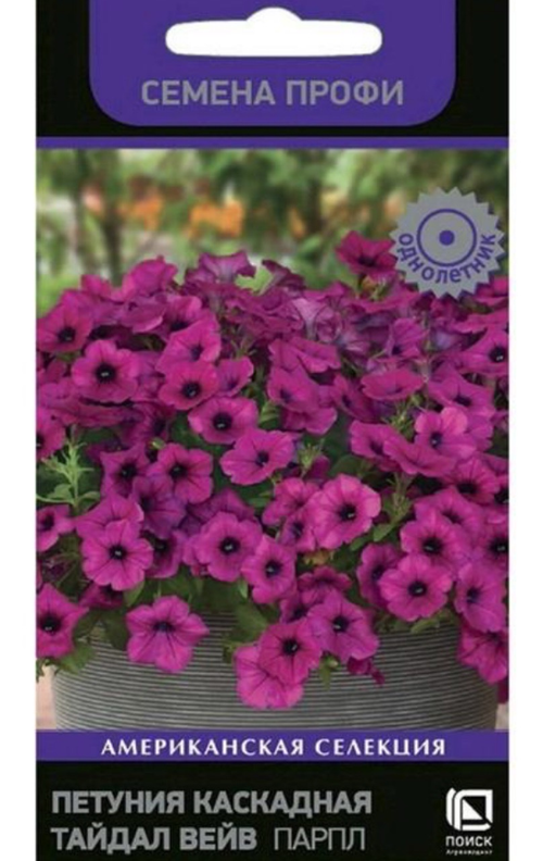 Петуния Тайдал Вейв Парпл 5 шт каскадная рядом