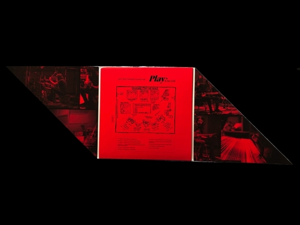 Dave Grohl / Play (LP)