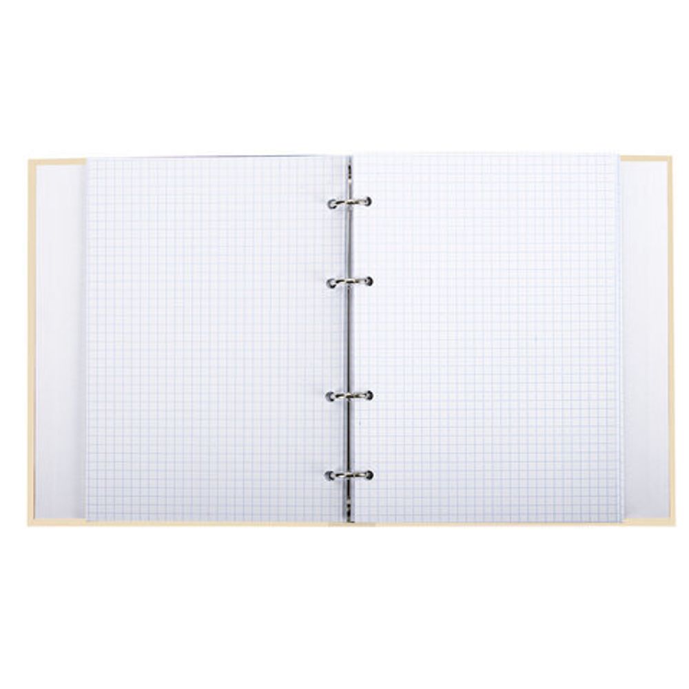 Тетрадь на кольцах А5 (175х215 мм), 240 л., обложка твердый картон, клетка, BRAUBERG, "Miracle", 404093