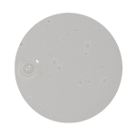 Шампунь-активатор для роста волос с Биотином, Кофеином и Витаминами Aravia Laboratories Biotin Grow Shampoo 250мл