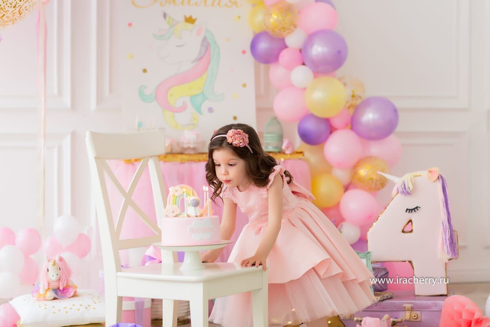 Unicorn Party