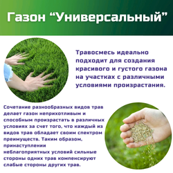 Семена газонной травы, травосмесь Универсальный газон, 1 кг/фестулолиум, овсяница луговая, райграс однолетний, тимофеевка луговая, овсяница тростниковая, райграс пастбищный/Газон Сити