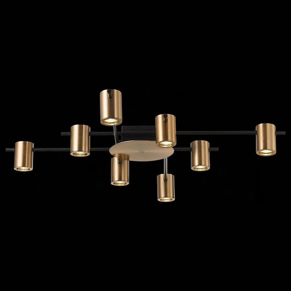 Потолочная люстра ST-Luce Veroli SL1207.402.08