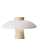 Декоративная настольная лампа Freya SUNSPOT FR5482TL-L7BG