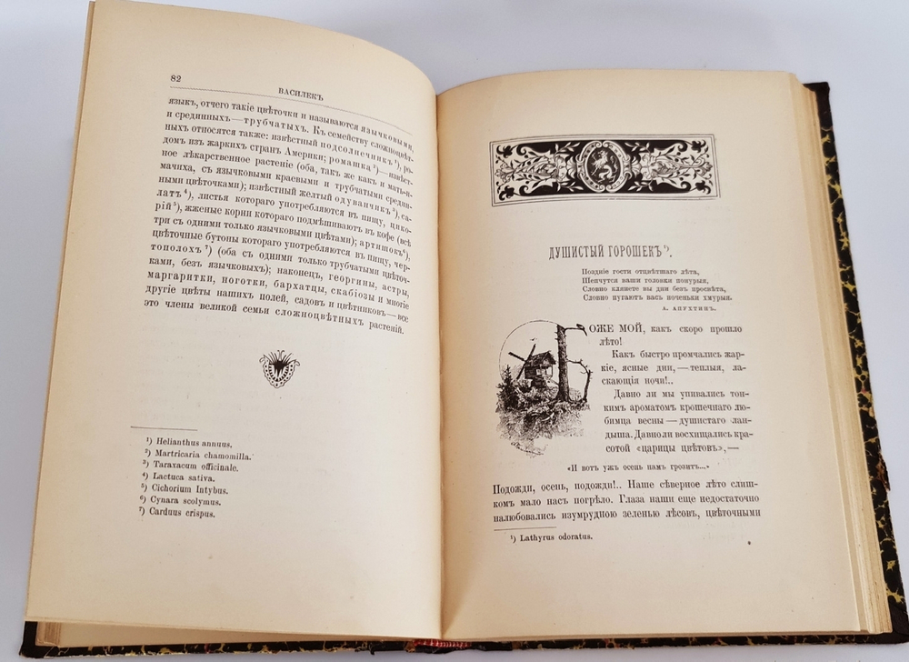 "Из зеленого царства. Популярные очерки из мира растений". Д.Н.Кайгородов. 1902г.