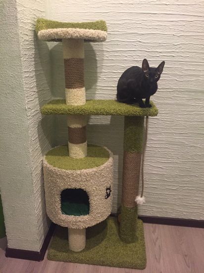 Дом для котят Д-2