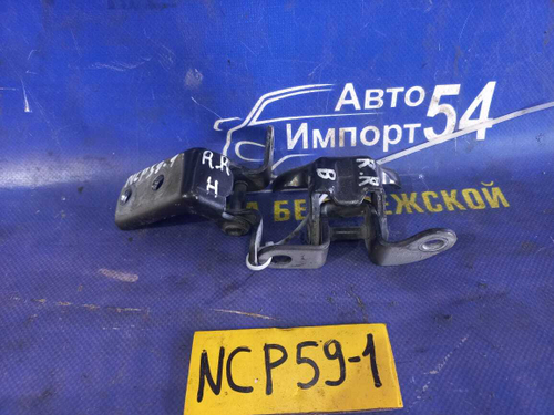 Петля двери задней правой TOYOTA SUCCEED 2003