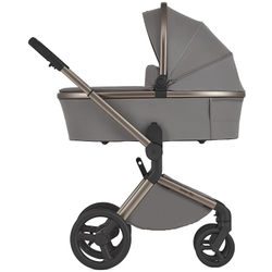 Детская коляска Anex Flo 2 в 1 Charm