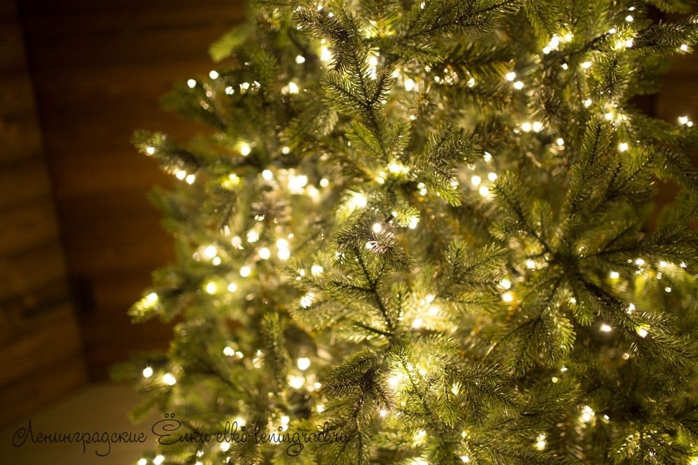 "ГРАЦИО ПРЕМИУМ" Светящаяся 10