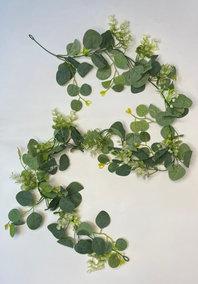 Лиана эвкалипт