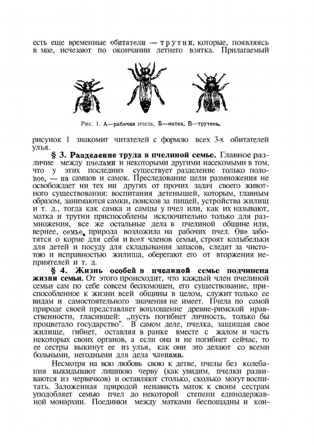 Самоучитель пчеловодства | А.С. Буткевич