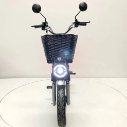 Электровелосипед Green Camel Транк Монстр (R16FAT 500W 48V15Ah) гидравлика