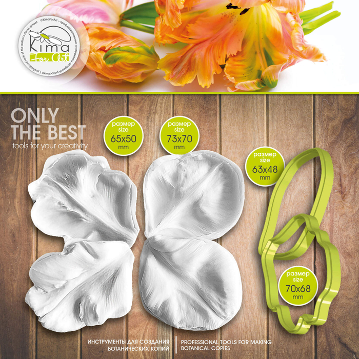 Тюльпан попугайный