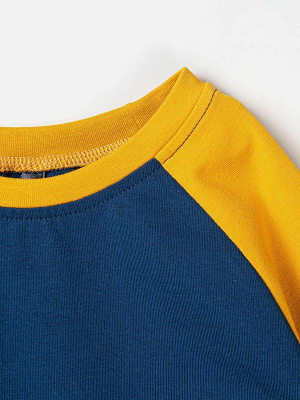 Лонгслив Колор блок 