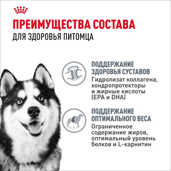 Сухой корм Royal Canin Maxi Joint Care для взрослых собак крупных размеров с повышенной чувствительностью суставов