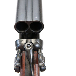 Ружье Уайта Эрпа