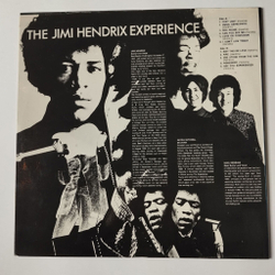 Винтажная виниловая пластинка LP The Jimi Hendrix Experience Are You Experienced (Россия 1995)
