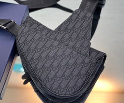 Christian Dior Saddle 26 cm