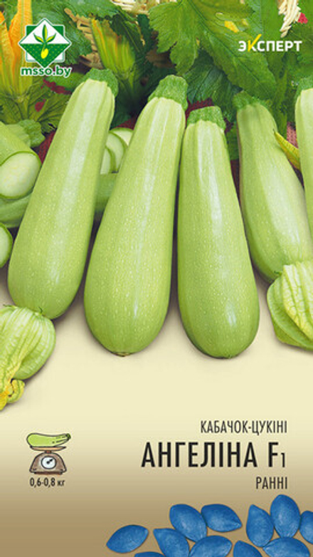 Кабачок "Ангелина F1" 6шт, Нидерланды.