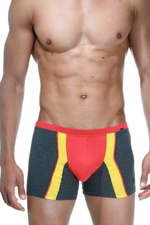 Cерые трусы-боксеры с цветными вставками Doreanse Supporters Boxer (Размер: L) (Цвет: темно-серый)