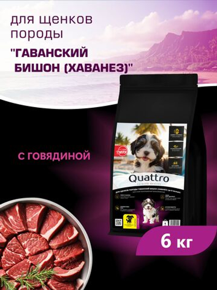 Quattro корм для щенков породы Гаванский бишон (Хаванез), с говядиной, 6 кг, QUATTRO