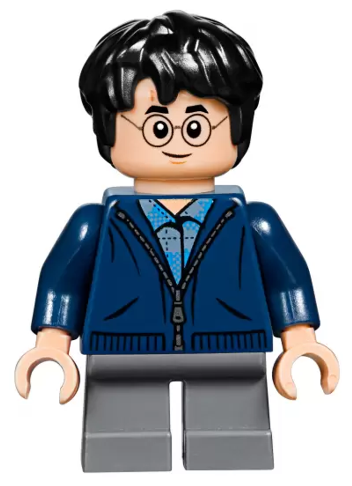 Lego harry potter 2018 minifigures 2025