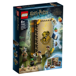 LEGO Harry Potter: Учёба в Хогвартсе: Урок травологии 76384 — Hogwarts Moment: Herbology Class — Лего Гарри Поттер