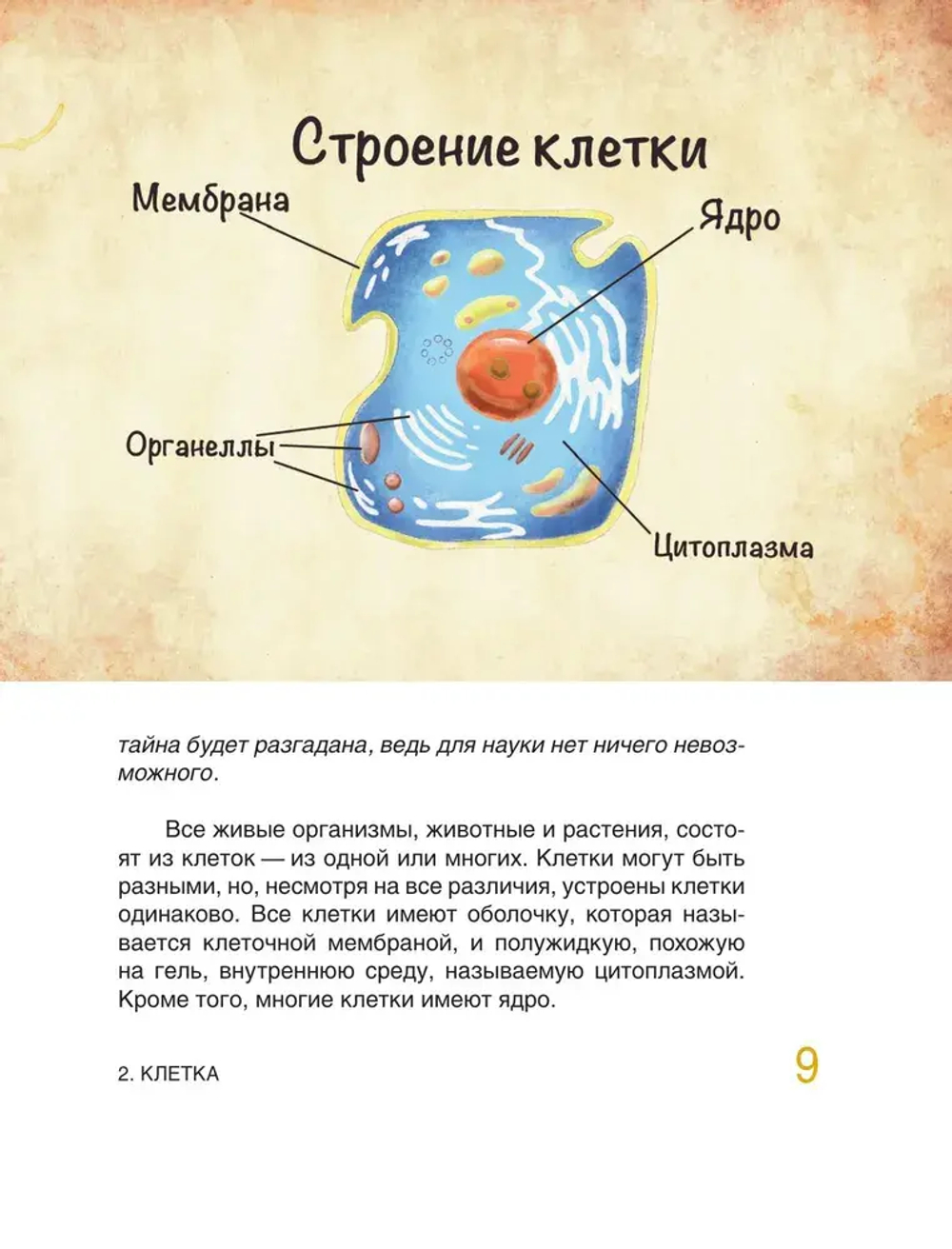 Сказочная анатомия