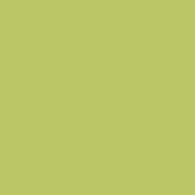 Фон бумажный для фотосъемки 2.72x10м Tropical Green 13 светло-зеленый
