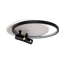 Потолочный светильник FR6083CL-L106WB Прожекторы / Spotlights 75 Вт LED с пультом ДУ Freya fr6083cl-l106wb