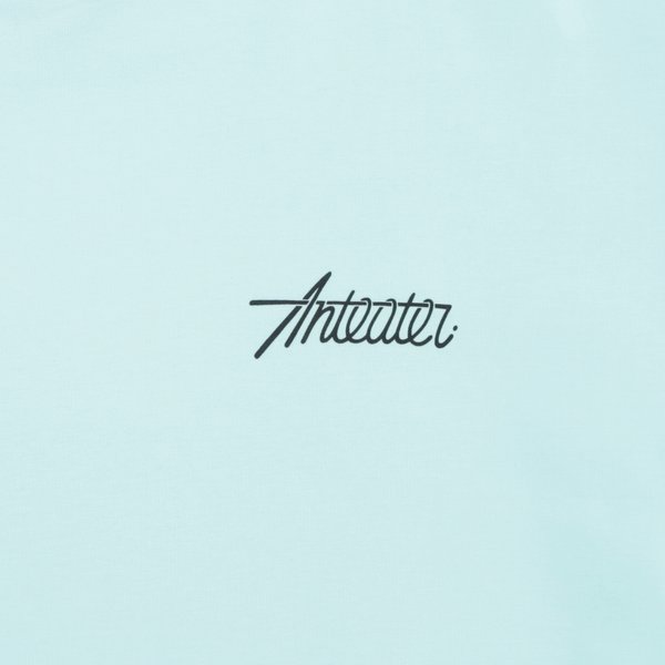Футболка Anteater Phat Tee 499 (mint) артикул: - купить в магазине Дайс
