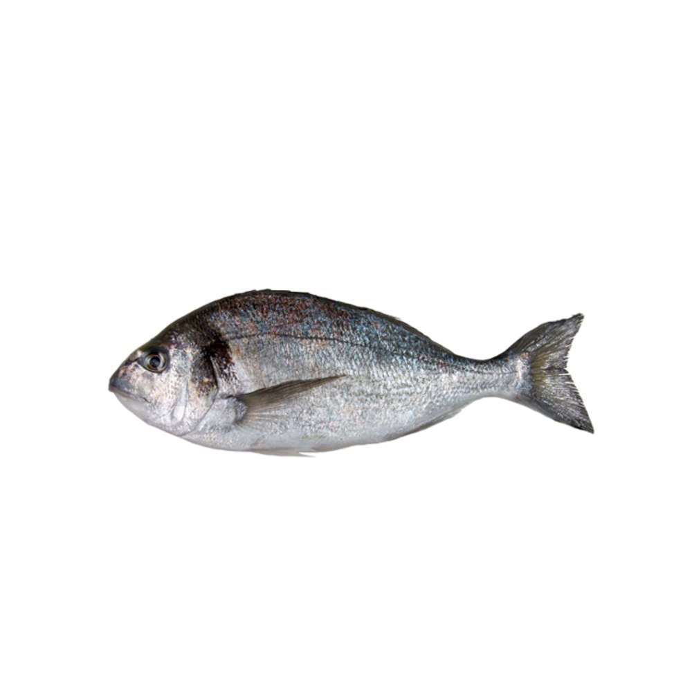 Дорадо св.морож.( 300-600 г.), шт