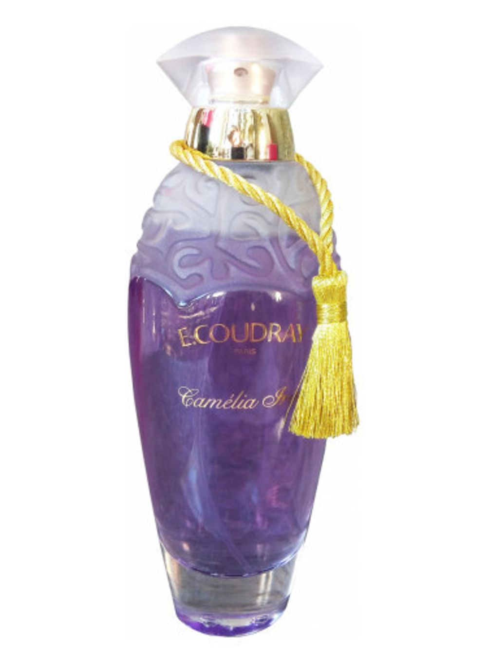 E. Coudray Camelia Iris