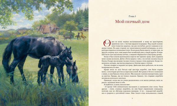 Черный красавчик