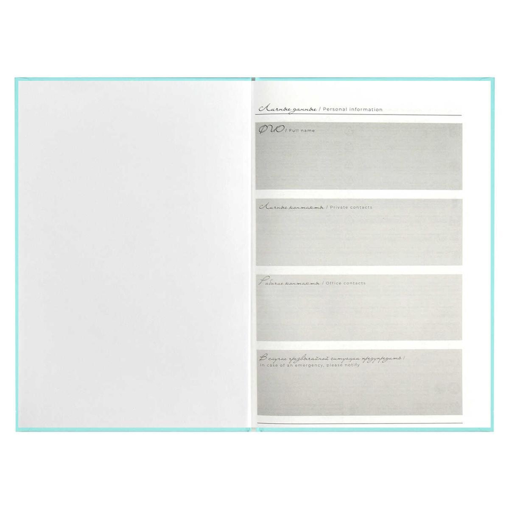 Ежедневник недатированный А5 80л. "Шедевр" (Феникс+)