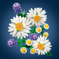 LEGO Botanicals - Маргаритки 11508