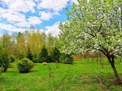 Работы в саду в мае