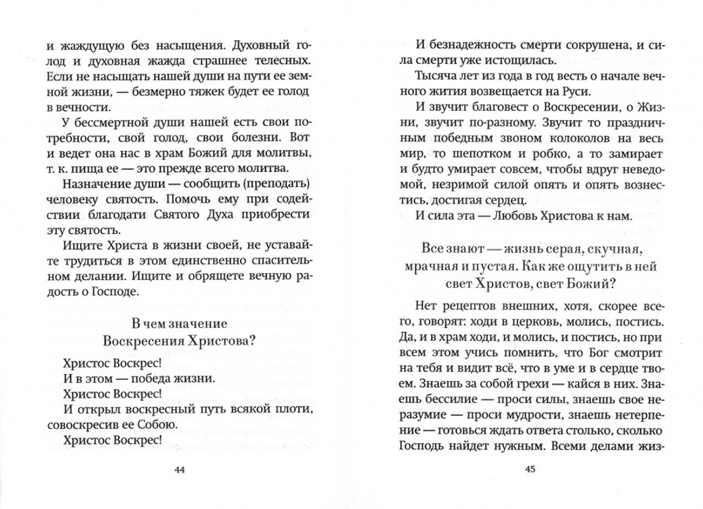 Насущные вопросы к старцу. По трудам архимандрита Иоанна (Крестьянкина)