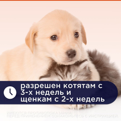 Таблетки от гельминтов для котят и щенков Празител, 2 таб. Празиквантел/Пирантел