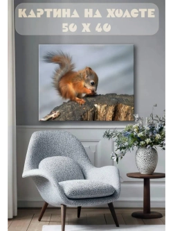 Картина на стену 40 X 50 Белка