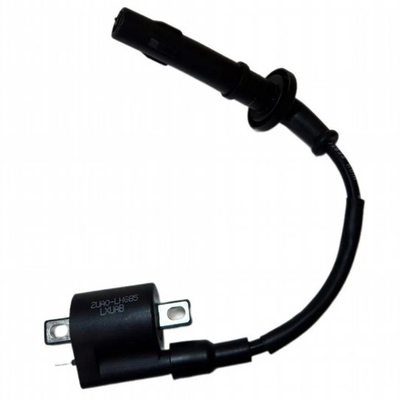 катушка зажигания YBS300